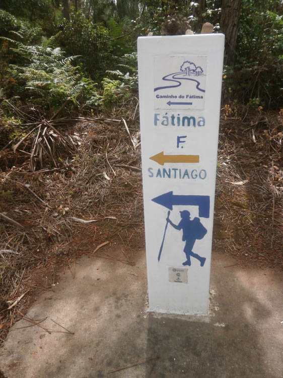 Fatima
