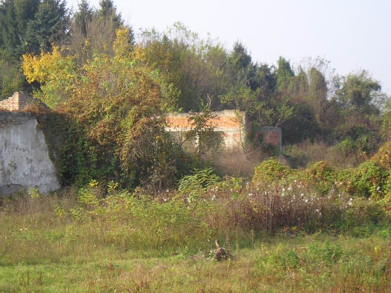 Trgovina
